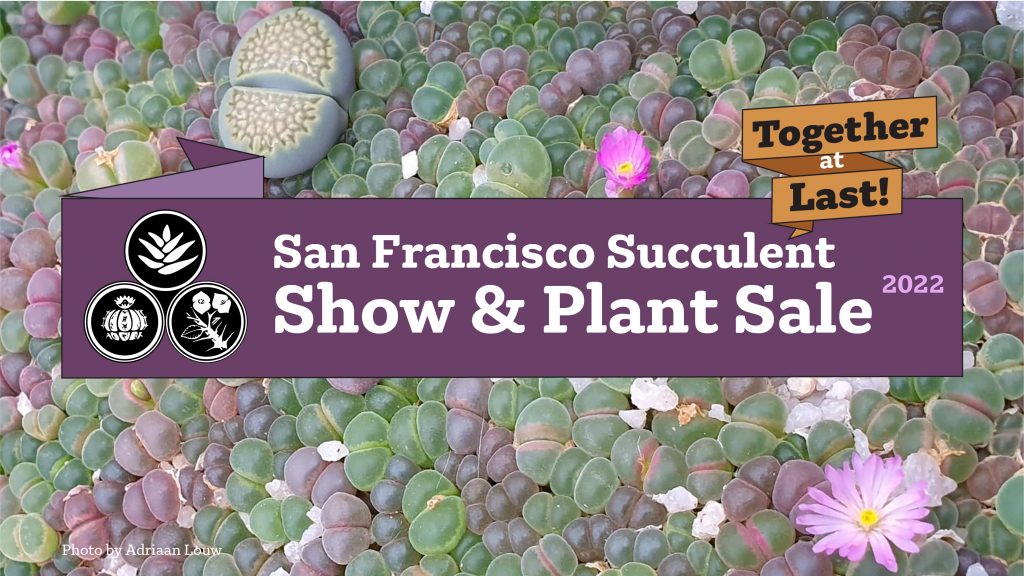 San Francisco Succulent Show and Plant Sale 2022