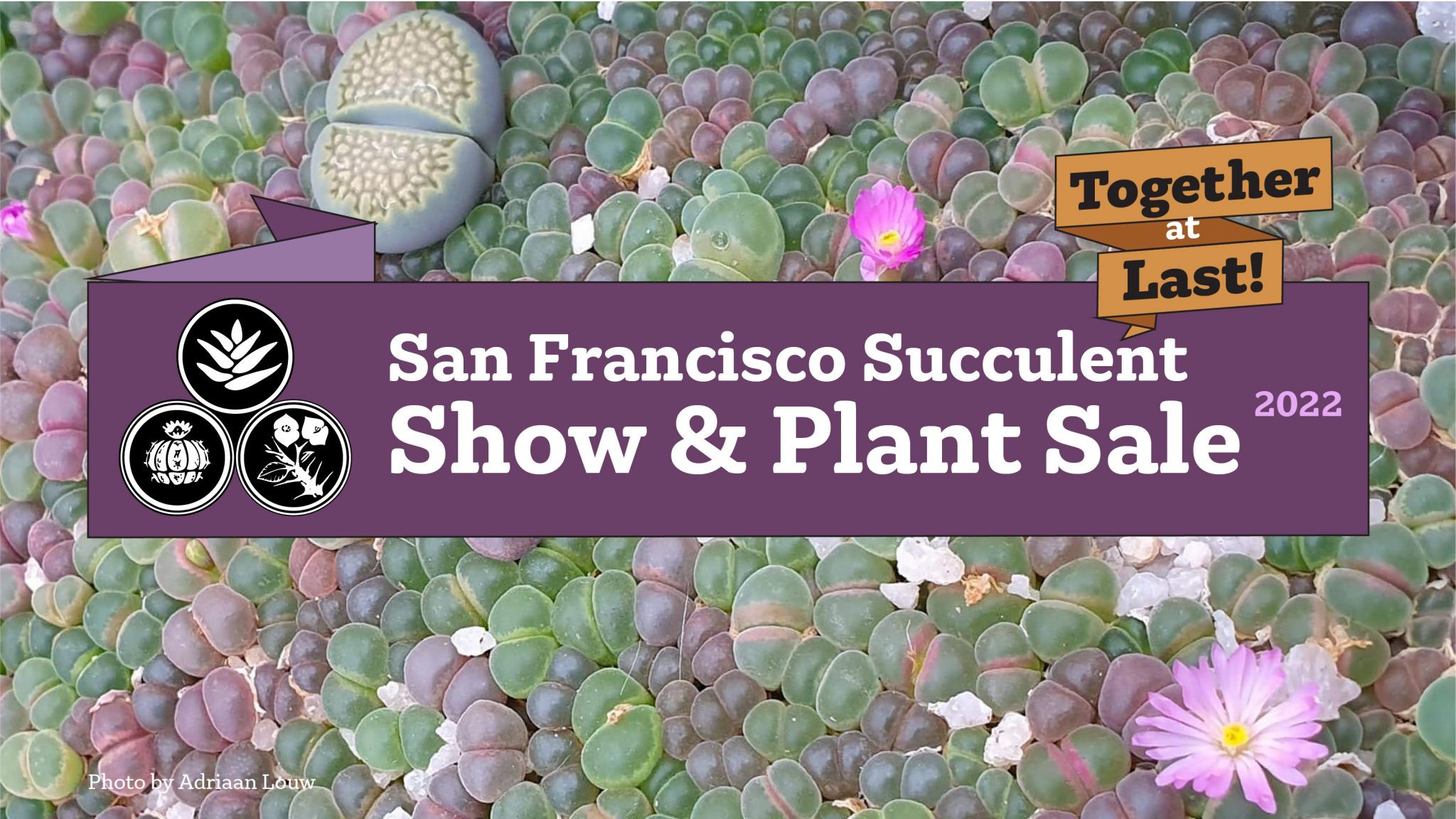 2022 San Francisco Succulent Show & Plant Sale San Francisco